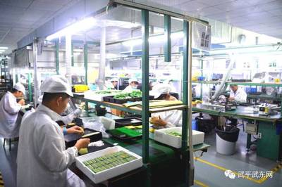 武东镇引进&ldquo;希恩凯液晶显示屏生产项目&rdquo;正式开工
